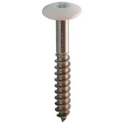 ROCKP.SCHROEF 4.5X35 RVS/100