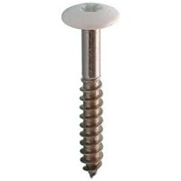 ROCKP.SCHROEF 4.5X35 RVS/100 - thumbnail