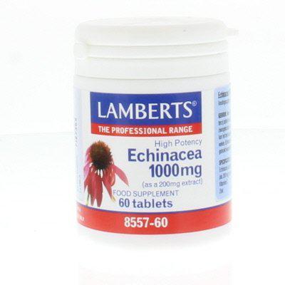 Echinacea