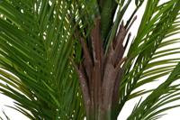 Decoratieve plant Home ESPRIT Polyethyleen Cement Palmboom 100 x 100 x 235 cm - thumbnail