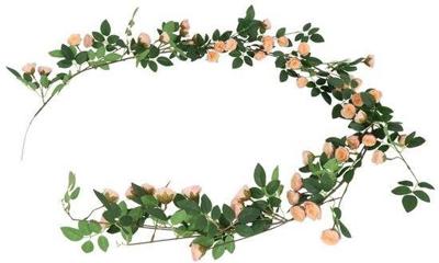 Rosa bonica 10x10x180 cm brn Countryfield - Countryfield Rosa bonica 10x10x180 cm brn Countryfield - Countryfield