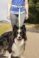 Jogginglijn met heupriem Stoffel fluo geel (118 cm/80-140 cm) Per stuk - thumbnail