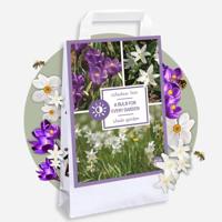 Jub Tas shade garden 50st - thumbnail