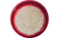 MSR Guardian Purifier Cartridge Replacement filter - thumbnail