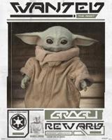 Poster Star Wars - The Mandalorian - Grogu Wanted 40x50cm - thumbnail