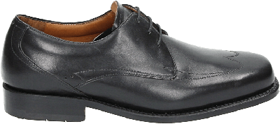 Van Bommel 14290 - alle