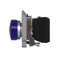 Schneider Electric XB4BVG6 Verlichte melder 1 stuk(s) - thumbnail