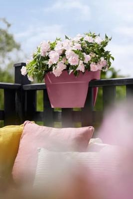 Elho Balkonbak Vibia Campana flower bridge 40cm roze - thumbnail