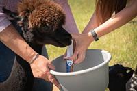 Vitamine gel (AD3E) - thumbnail