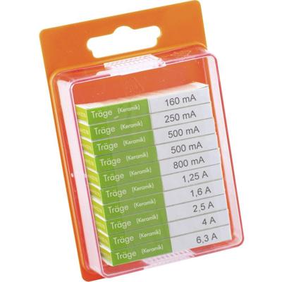 ESKA 122850 Buiszekering assortiment (Ø x l) 5 mm x 20 mm Traag -T- Inhoud 100 stuk(s)