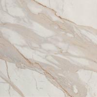 Roma Stone Calacatta Oro mat 80x80 rett - thumbnail