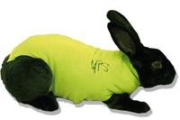 Medical Pet Shirt, Konijn, XX-Kleine, Groen - thumbnail