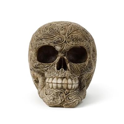 Gedetailleerde Damast Schedel Woonaccessoire