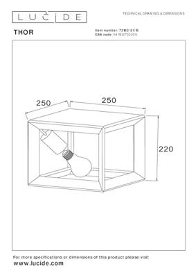 Lucide THOR Plafonnière 1xE27 - Grijs ijzer