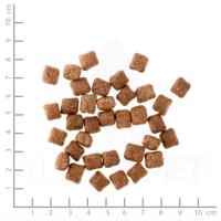 Wild duck puppy 2kg - thumbnail