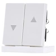 Merten 435519 Wisselschakelaar Afdekking System M Polar-wit 1 stuk(s)