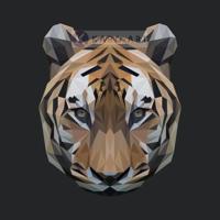 Schilderij - Tijger, digitaal , Bruin wit zwart , 3 maten , Premium print - thumbnail