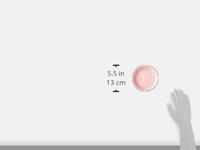 TRIXIE VOERBAK / WATERBAK VISGRAAT KERAMIEK ASSORTI 13 CM 200 ML 4 ST - thumbnail