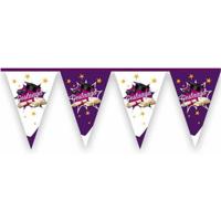 Vlaggenlijn geslaagd paars - 6 meter - thumbnail