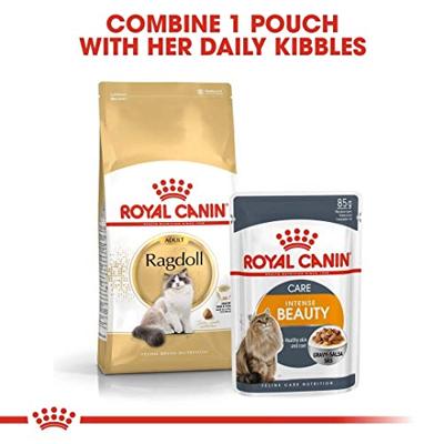 Royal Canin Adult Ragdoll kattenvoer 10 kg - thumbnail
