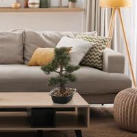 hjh OFFICE Kunstboom Bonsai 44 cm - thumbnail