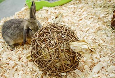 HAPPY PET SPEELBAL WILG NATURE FIRST 17X17X17 CM - thumbnail