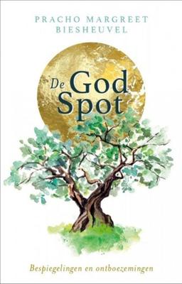 De God-spot - Pracho Margreet Biesheuvel - ebook
