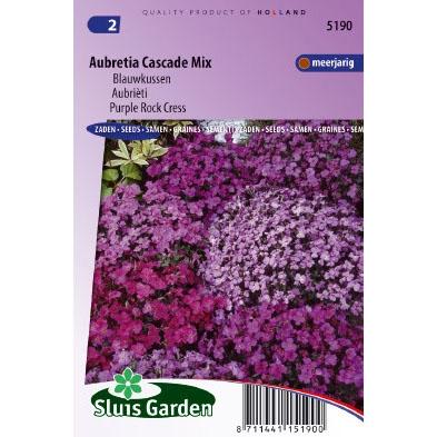 Aubrieta x Cultorum zaden Cascade mix Blauwkussen Aubrieta x Cultorum zaden Cascade mix Blauwkussen