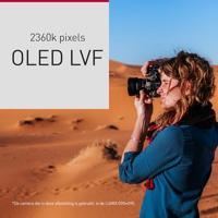 Panasonic Lumix DC-G97 + Lumix G Vario 12-60mm F/3.5-5.6 ASPH Power OIS - thumbnail