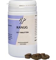 Holisan Kanug Tabletten 120st - thumbnail