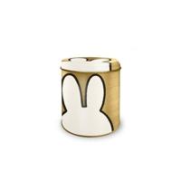 Nijntje Bewaarblik goud ø10xh11,5cm - thumbnail