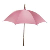 Noble Collection Harry Potter: Rubeus Hagrid's Umbrella Wand decoratie - thumbnail