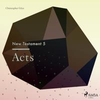 The New Testament 5 - Acts - thumbnail