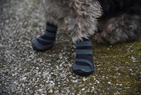 Kerbl Active Dog Paw Protector - One Size - Ademend rubber - Antislip - thumbnail