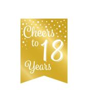 Verjaardagsslinger Vaandel 18 Jaar Goud/Wit (6m) - thumbnail