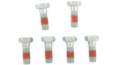 TRW bouten set screw set 6pcs. m6x1