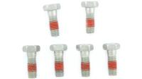 TRW bouten set screw set 6pcs. m6x1 - thumbnail