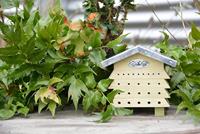 Bijenhuis hout - thumbnail