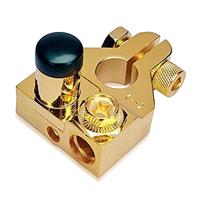 Sinuslive 13482 BKS - Accupoolklem Minpool Verguld 1 stuk(s) - thumbnail