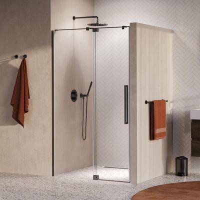 Brauer Stellar - Nisdeur - 2-Delig - Draaiend - Helder Glas - 100 x 200 cm - Omkeerbaar - incl. Glascoating - PVD Gunmetal Geborsteld