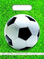 Geschenkverpakking voetbal 23 cm 6 stuks | 48 stuks - thumbnail
