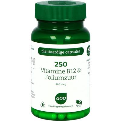 AOV 250 Vitamine B12 & Foliumzuur Vegacaps AOV 250 Vitamine B12 & Foliumzuur Vegacaps