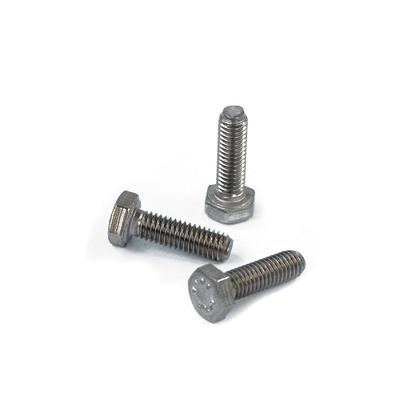 Bout rvs zeskante kop m12x 25