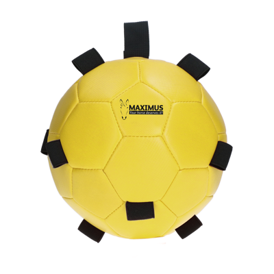 Maximus Fun Play Ball Yellow