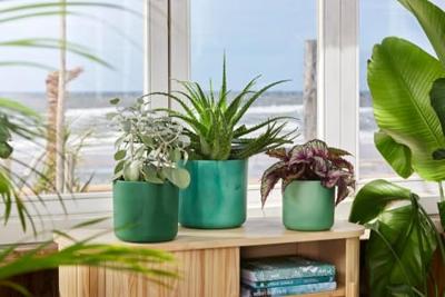 The ocean collection round 14cm pacifisch groen elho - Elho The ocean collection round 14cm pacifisch groen elho - Elho