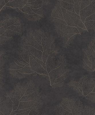 Emil & Hugo Moana 300504