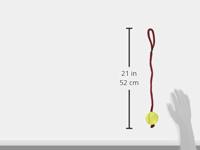 TRIXIE TENNISBAL AAN KOORD ASSORTI 50X6X6 CM 3 ST - thumbnail