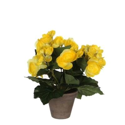 Mica Decoration Kunstplant - begonia - wit - in pot - 25 cm