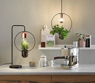 Paulmann Tasja 79748 Hanglamp Speciale lamp E27 20 W Koper, Zwart