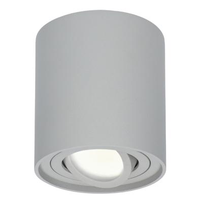 Ronde LED Opbouwspot Ray - 4 Watt 345 Lumen - 4000K neutraal wit - Kantelbaar - GU10 - Opbouwspot - IP20 Voor binnen - Grijs - Dimbaar Ronde LED Opbouwspot Ray - 4 Watt 345 Lumen - 4000K neutraal wit - Kantelbaar - GU10 - Opbouwspot - IP20 Voor binnen - Grijs - Dimbaar